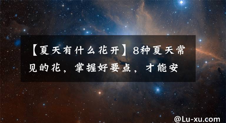 【夏天有什么花开】8种夏天常见的花，掌握好要点，才能安全度夏