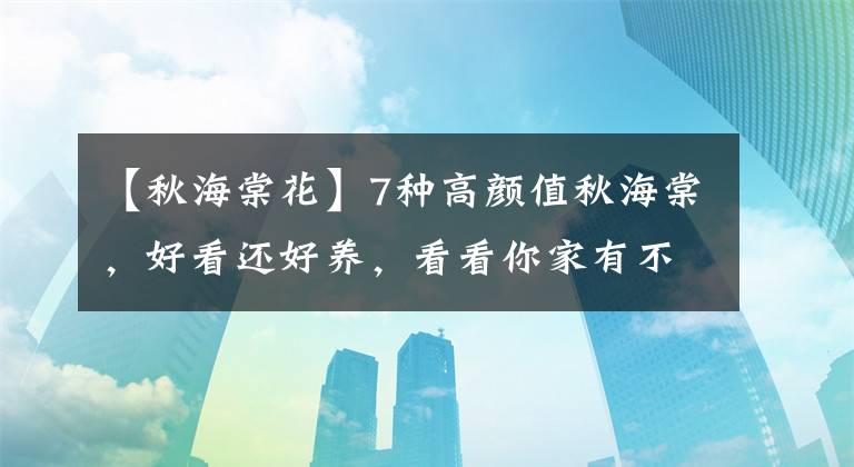 【秋海棠花】7种高颜值秋海棠,好看还好养,看看你家有不?