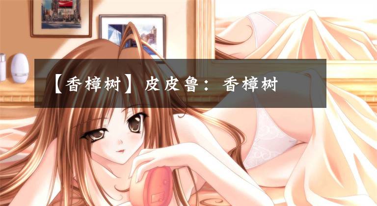 【香樟树】皮皮鲁：香樟树