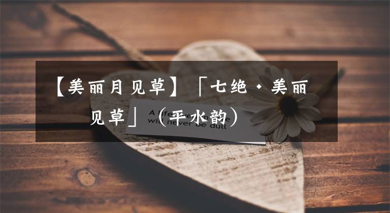 【美丽月见草】「七绝·美丽月见草」(平水韵)