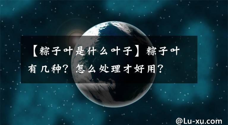 【粽子叶是什么叶子】粽子叶有几种?怎么处理才好用?