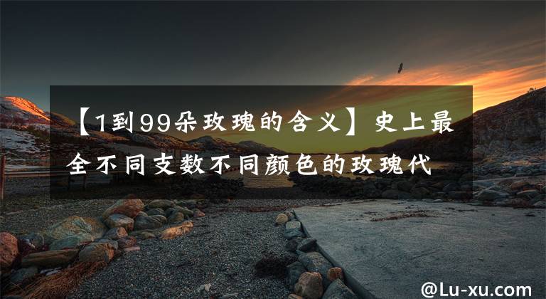 【1到99朵玫瑰的含义】史上最全不同支数不同颜色的玫瑰代表的含义
