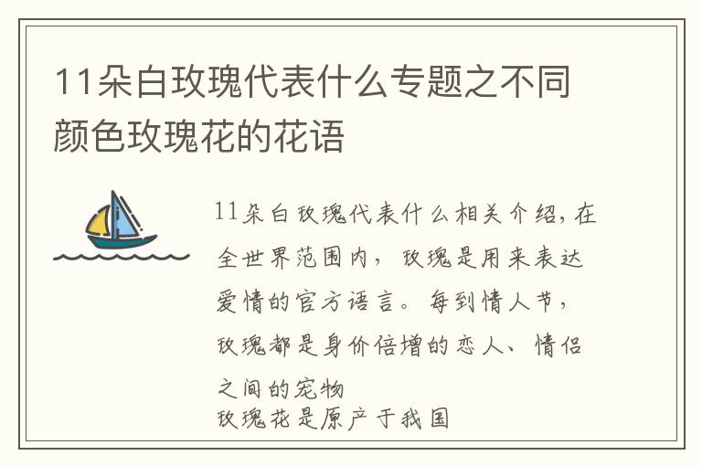 11朵白玫瑰代表什么专题之不同颜色玫瑰花的花语