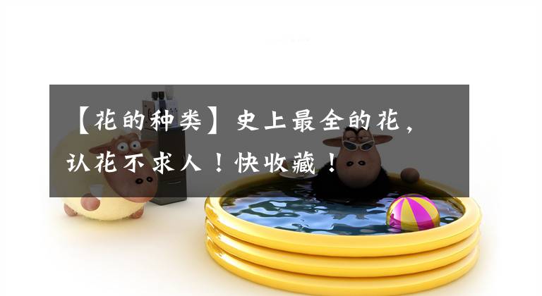 【花的种类】史上最全的花,认花不求人!快收藏!