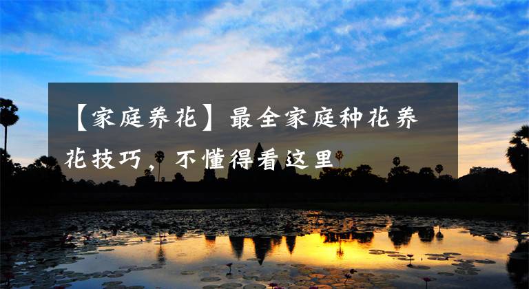 【家庭养花】最全家庭种花养花技巧,不懂得看这里