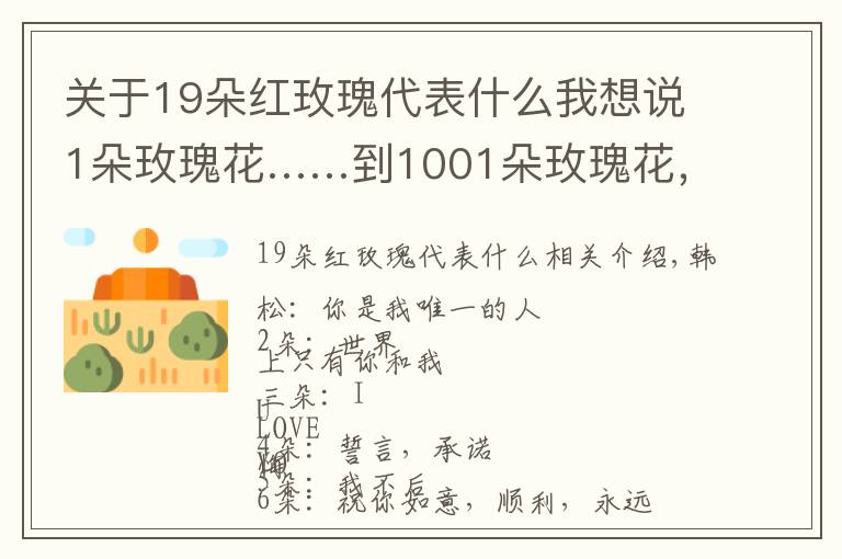 关于19朵红玫瑰代表什么我想说1朵玫瑰花……到1001朵玫瑰花,都代表什么,你知道吗?