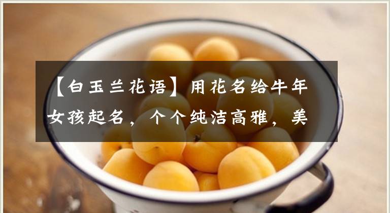 【白玉兰花语】用花名给牛年女孩起名,个个纯洁高雅,美丽又大方