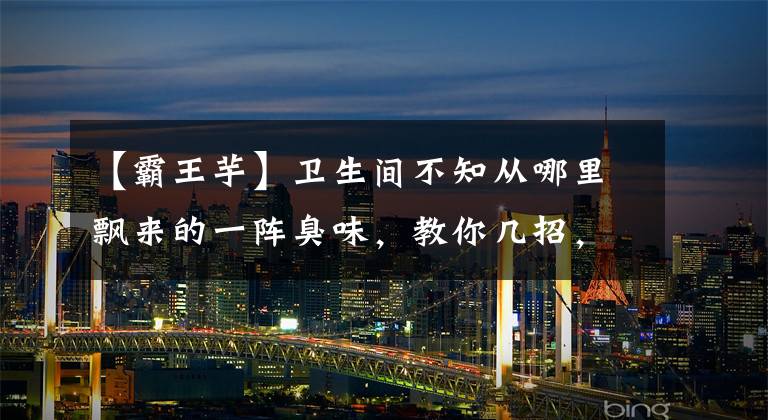 【霸王芋】卫生间不知从哪里飘来的一阵臭味,教你几招,轻松去异味