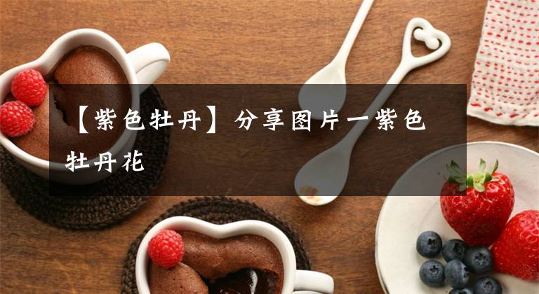 【紫色牡丹】分享图片一紫色牡丹花