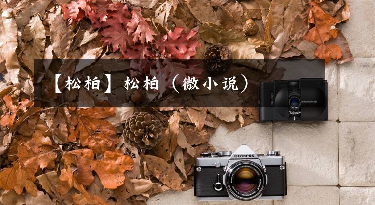 【松柏】松柏(微小说)