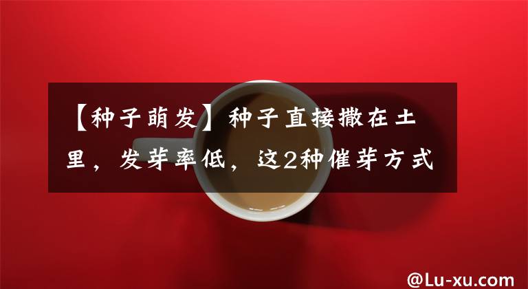 【种子萌发】种子直接撒在土里,发芽率低,这2种催芽方式要知道