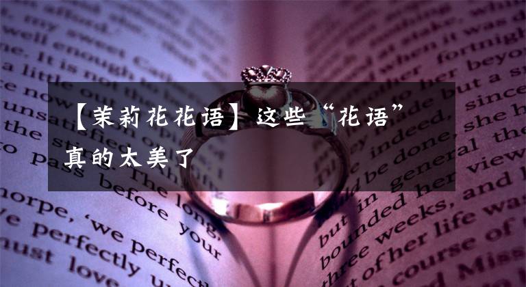 【茉莉花花语】这些“花语”真的太美了