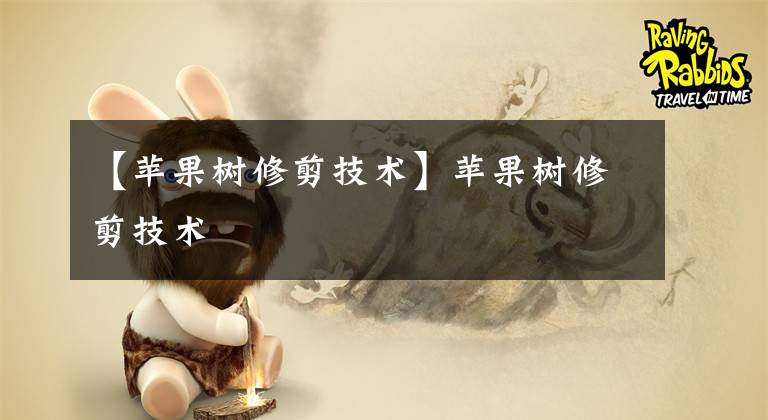 【苹果树修剪技术】苹果树修剪技术