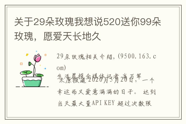 关于29朵玫瑰我想说520送你99朵玫瑰,愿爱天长地久