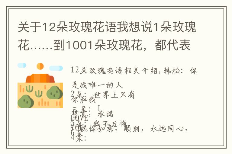 关于12朵玫瑰花语我想说1朵玫瑰花……到1001朵玫瑰花,都代表什么,你知道吗?