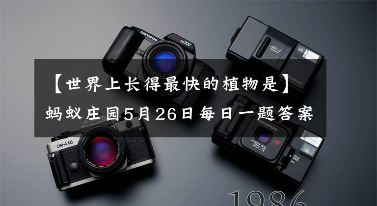 【世界上长得最快的植物是】蚂蚁庄园5月26日每日一题答案 世界上长得最快的植物是