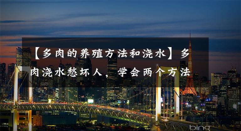 【多肉的养殖方法和浇水】多肉浇水愁坏人，学会两个方法，多肉长得肉嘟嘟