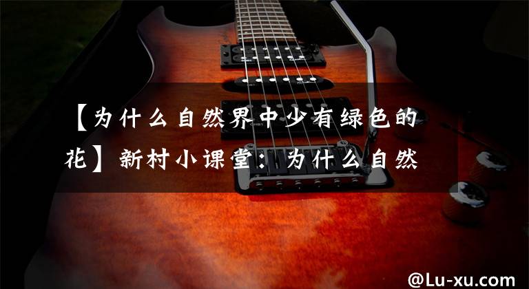 【为什么自然界中少有绿色的花】新村小课堂：为什么自然界中少有绿色的花？