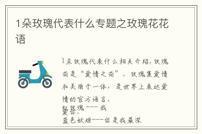 1朵玫瑰代表什么专题之玫瑰花花语