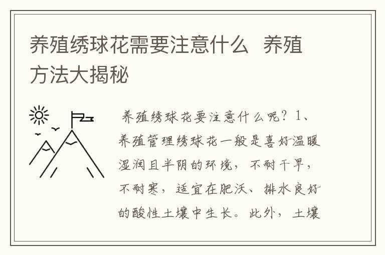 养殖绣球花需要注意什么  养殖方法大揭秘