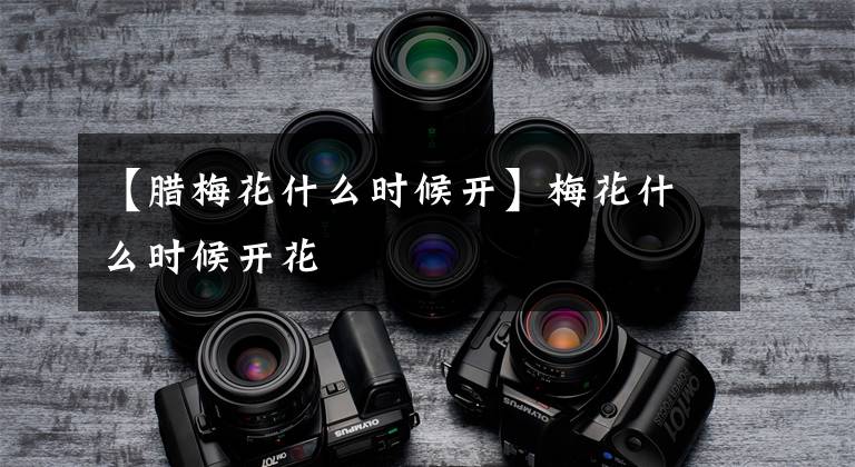 【腊梅花什么时候开】梅花什么时候开花