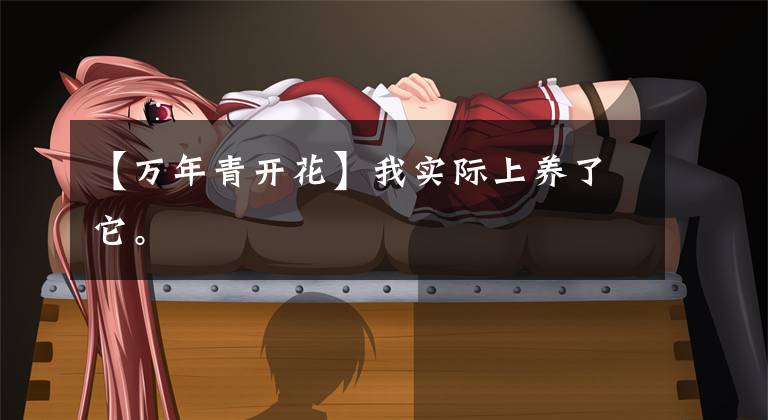 【万年青开花】我实际上养了它。