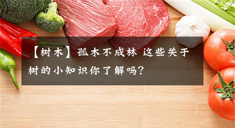 【树木】孤木不成林 这些关于树的小知识你了解吗?