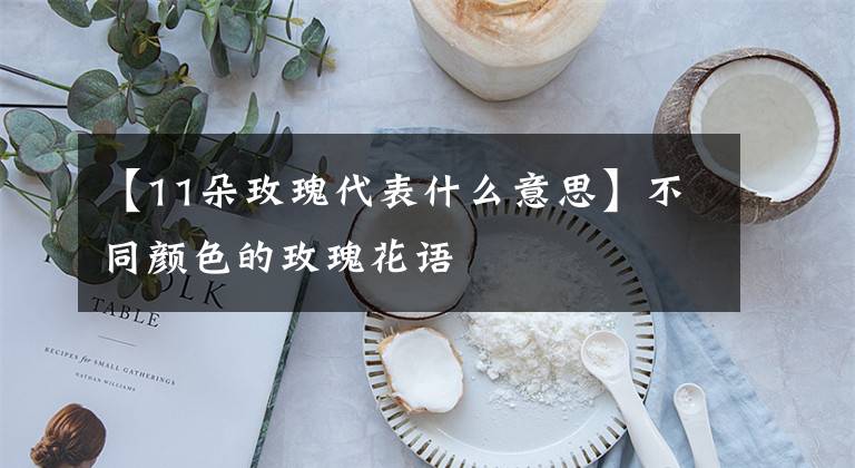 【11朵玫瑰代表什么意思】不同颜色的玫瑰花语
