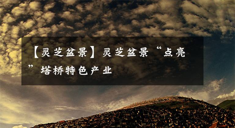 【灵芝盆景】灵芝盆景“点亮”塔桥特色产业