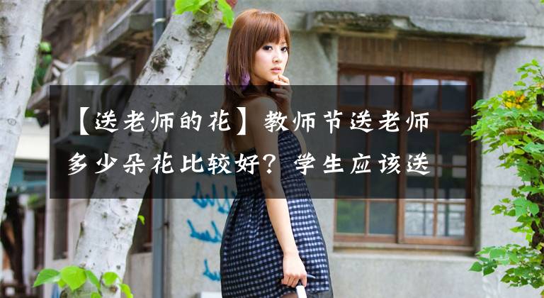 【送老师的花】教师节送老师多少朵花比较好?学生应该送老师什么花?