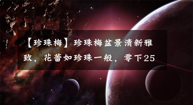 【珍珠梅】珍珠梅盆景清新雅致,花蕾如珍珠一般,零下25度都冻不死