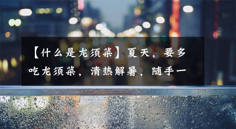 【什么是龙须菜】夏天,要多吃龙须菜,清热解暑,随手一拌,真鲜美