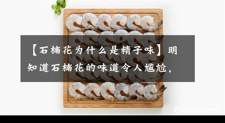 【石楠花为什么是精子味】明知道石楠花的味道令人尴尬,为什么我们还那么爱种它?