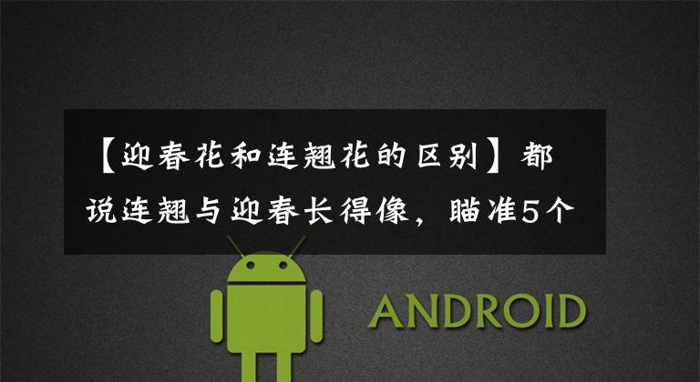 【迎春花和连翘花的区别】都说连翘与迎春长得像，瞄准5个特征，一秒即可分辨！