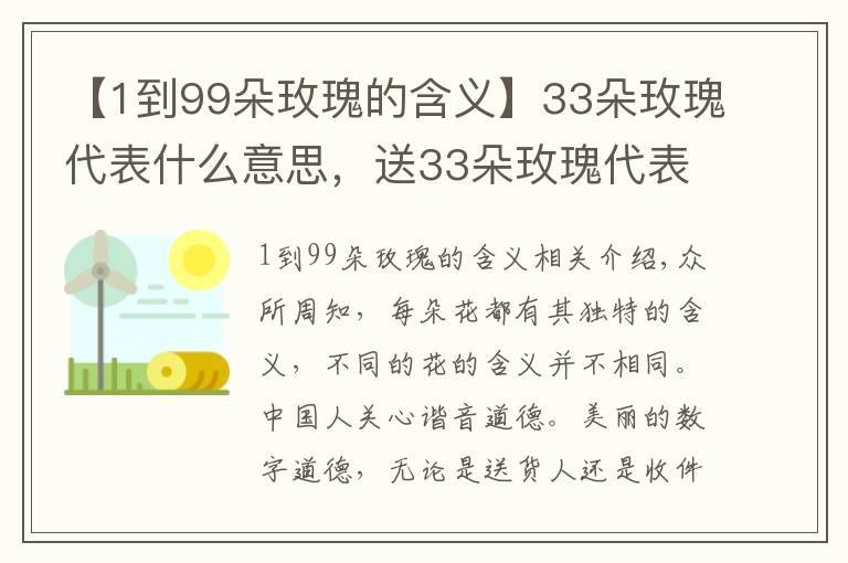 【1到99朵玫瑰的含义】33朵玫瑰代表什么意思,送33朵玫瑰代表什么(生生世世的爱)