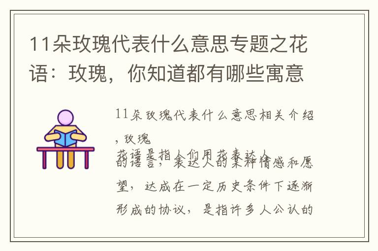 11朵玫瑰代表什么意思专题之花语:玫瑰,你知道都有哪些寓意吗?