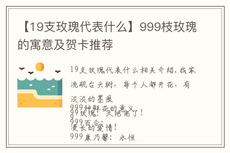 【19支玫瑰代表什么】999枝玫瑰的寓意及贺卡推荐