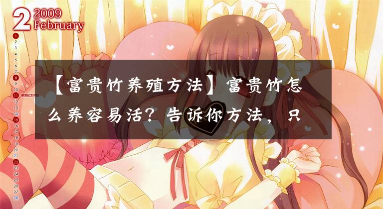 【富贵竹养殖方法】富贵竹怎么养容易活？告诉你方法，只要你不懒，能养一辈子