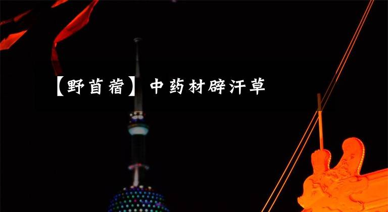 【野苜蓿】中药材辟汗草