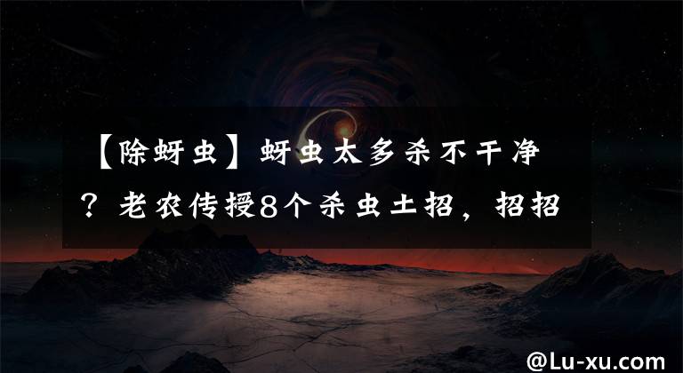 【除蚜虫】蚜虫太多杀不干净?老农传授8个杀虫土招,招招有效