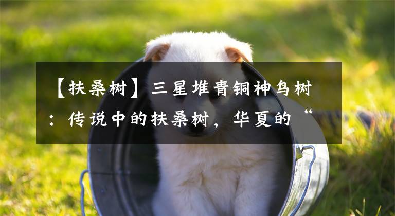 【扶桑树】三星堆青铜神鸟树:传说中的扶桑树,华夏的“华”来源于此