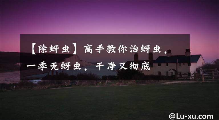 【除蚜虫】高手教你治蚜虫,一季无蚜虫,干净又彻底