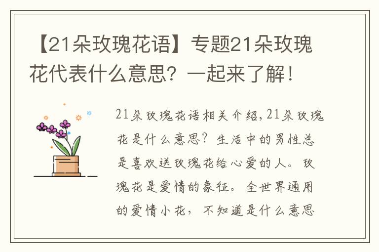 【21朵玫瑰花语】专题21朵玫瑰花代表什么意思?一起来了解!