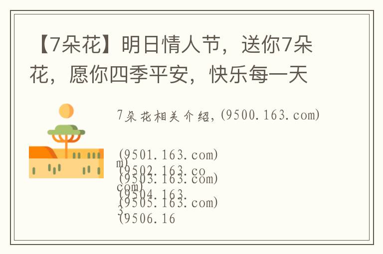 【7朵花】明日情人节,送你7朵花,愿你四季平安,快乐每一天