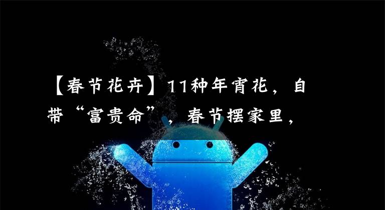 【春节花卉】11种年宵花,自带“富贵命”,春节摆家里,运气一直旺
