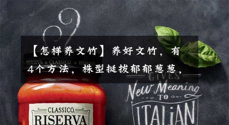 【怎样养文竹】养好文竹，有4个方法，株型挺拔郁郁葱葱，长得很快