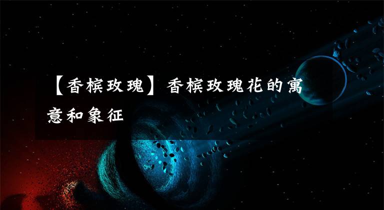 【香槟玫瑰】香槟玫瑰花的寓意和象征