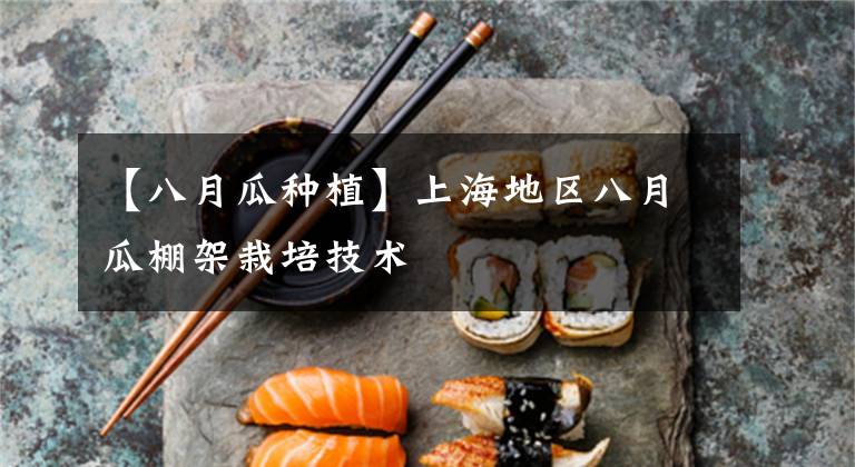 【八月瓜种植】上海地区八月瓜棚架栽培技术