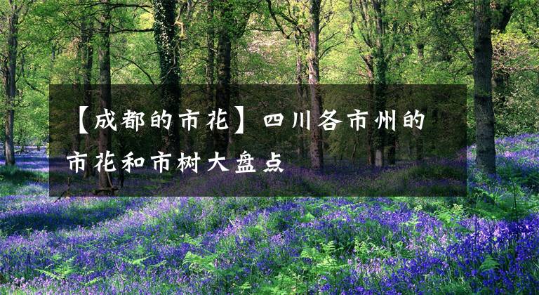 【成都的市花】四川各市州的市花和市树大盘点