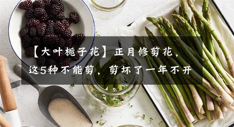 【大叶栀子花】正月修剪花,这5种不能剪,剪坏了一年不开花